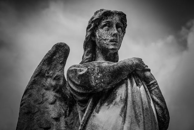pexels-francesco-ungaro-96127.jpg